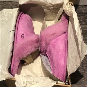 UGG Slippers